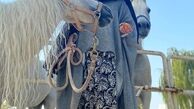 تیپ عجیب نازنین بیاتی در باشگاه اسب سواری