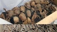 کشف گور جمعی ۶۰ فلسطینی قربانی جنگ ۱۹۴۸