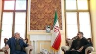 امیرعبداللهیان: حمله شیمیایی تروریستی به ادلب تاسف بار است