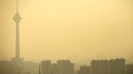 تشکیل جلسه کارگروه ملی آلودگی هوا
