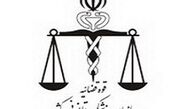 پزشکی قانونی در خصوص مرگ ناشی از سرمازدگی و گازگرفتگی هشدار داد