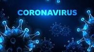 شناسایی ۶۵۷ مبتلا به کرونا در یک کارخانه آلمانی