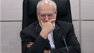 تعمت زاده:باید اشتغال کافی در مرزها ایجاد کرد/کولبری یعنی حمالی