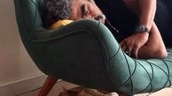 سروش صحت  و گربه خانگی اش + عکس