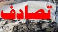 تصادف عجیب سمند با شتر/ عکس
