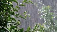 این مناطق برای بارش باران آماده باشند