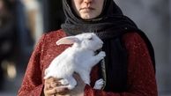 الناز شاکردوست در تی تی + عکس