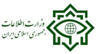 وزارت اطلاعات به گزارش مجلس درباره دوتابعیتی‌ها واکنش نشان داد