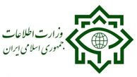 وزارت اطلاعات به گزارش مجلس درباره دوتابعیتی‌ها واکنش نشان داد