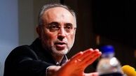 صالحی: علیرغم تحریم، همکاری هسته‌ای با ژاپن ادامه دارد