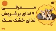 پرفروش ترین غذاهای خشک سگ؛ معرفی 9 غذای پر فروش