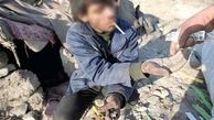 توزيع آزادانه مواد مخدر در زاهدان/ عرضه خرگوش وار مواد مخدر و عملکرد لاک پشت گونه دستگاه هاي مسئول