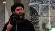 نخستین تبلیغ داعش برای جانشین "خلیفه"!