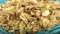 اگر حافظه ضعیفی دارید چای گلپر بنوشید! 