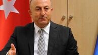 «چاووش اوغلو» به قطر رفت

