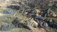 کشته‌شدن ۴۵ داعشی و کشف ده‌ها بمب در اطراف بغداد
