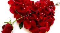 جملات عاشقانه که زنان را مجذوب میکند