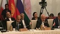 ظریف: ایران از «ثبات، امنیت و پیشرفت» افغانستان حمایت می کند