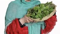 سبد سرسبز خانم‌ بازیگر + عکس