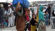 واکنش سفیر ایران به کشته شدن افغان ها در مرز ایران 