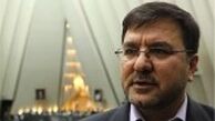 نعمتی: تنها مردم پیروز انتخابات خواهند بود