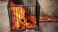 داعش دختران کُرد را در موصل عراق زنده سوزاند