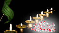 حضرت زینب (س) چگونه به شهادت رسید؟