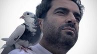 کبوتر خوشبختی منوچهر هادی + عکس