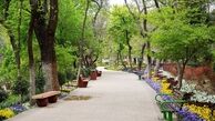 ماجرای قطع درختان پارک قیطریه صحت دارد ؟ 