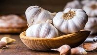 عوارض خطرناک سیر که از آن بی خبرید!