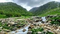 نقاشی طبیعت+ عکس