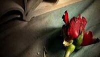 قبل از به هم زدن نامزدی‌تان بخوانید