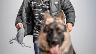 سگ خفن سینا مهراد + عکس