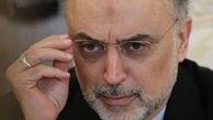 علت حضور صالحي در مذاكرات از زبان خودش/ نمي توان از مزایای فنّاوری هسته ای چشم پوشید