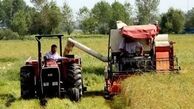 زنگ خطر آمارها برای کشاورزی/ کاهش ۶ درصدی کشاورزان و ۸ درصدی زمین های زراعی
