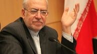 نعمت‌زاده:هیچ اختلافی با وزیر نفت ندارم