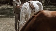 امیرعلی دانایی و‌اسب هایش + عکس