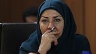 سفیر ایران در فنلاند تابعیت آمریکا دارد