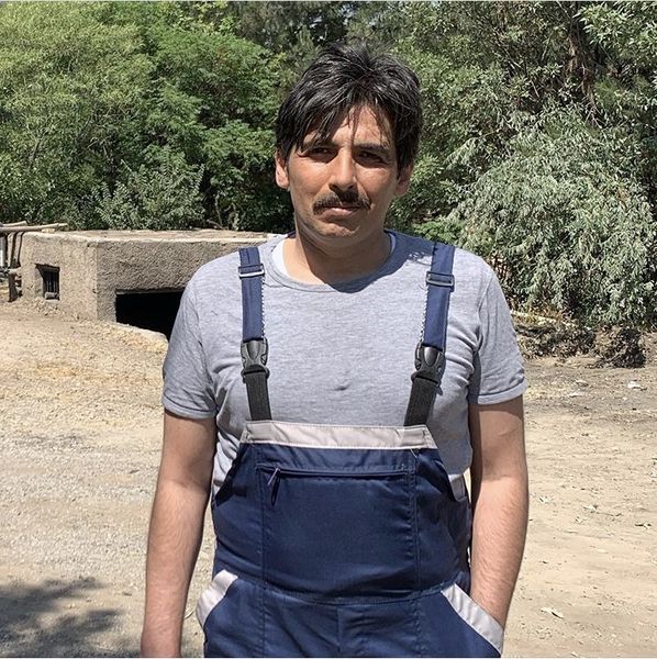 حمید گوردرزی در مزرعه + عکس