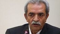 انتقاد شافعی از عدم استفاده از ظرفیت های ترانزیتی