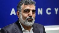 برنامه هسته‌ای صلح‌آمیز ایران تاکنون بیشترین شفافیت را داشته است