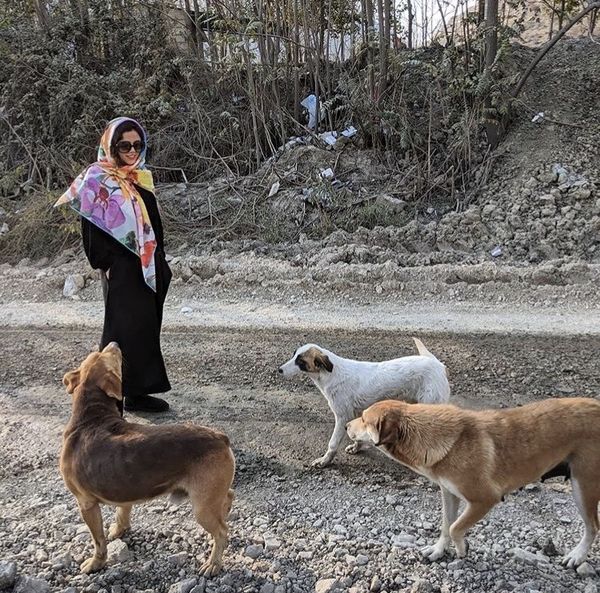 بازی کردن ماهور الوند با سگ های خیابانی + عکس