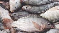 نرخ انواع ماهی در بازار 
