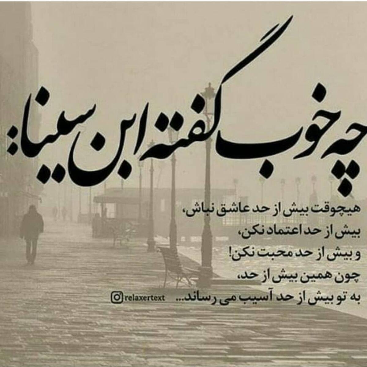 سخن گوهربار ابن سینا در صفحه مریم امیرجلالی