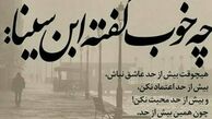 سخن گوهربار ابن سینا در صفحه مریم امیرجلالی