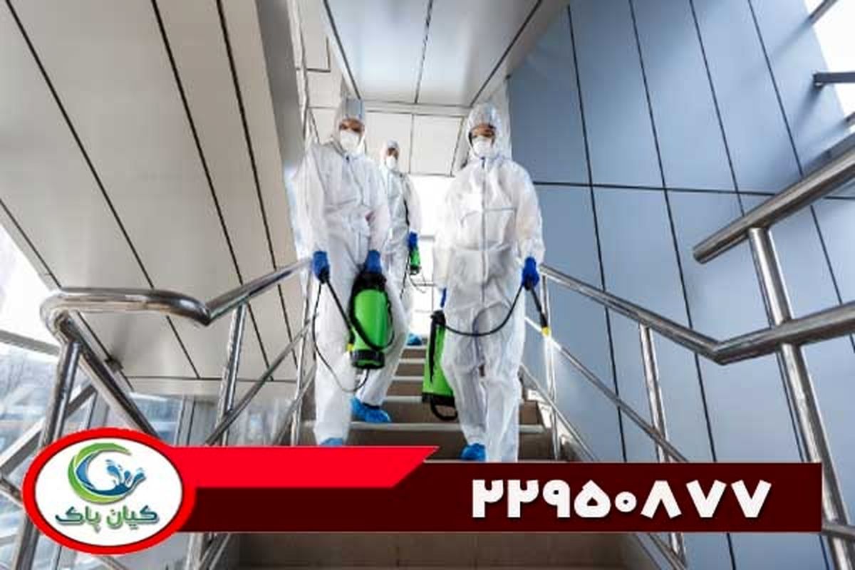 سمپاشی ساس ، کک و کنه چگونه انجام می‌شود؟