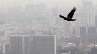 آلودگی هوا موجب «سردرد» و «اختلال حافظه» می‌شود