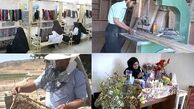 تسهیلات اشتغال زایی به 500 مددجوی بهزیستی زنجان اختصاص یافت