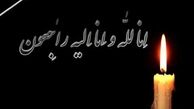 یکی از نیروهای ارتش در حین امدادرسانی به زلزله زدگان درگذشت