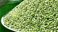 خطر سوء هاضمه‌ با مصرف بیش از اندازه «چغاله بادام»